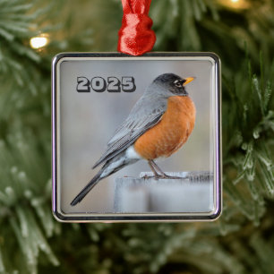 Ornement Carré Argenté American Robin debout sur la clôture Post Jour d'h