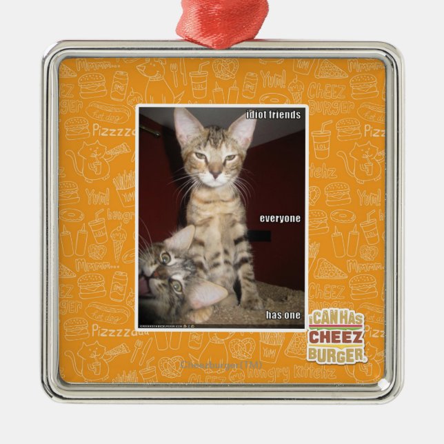 Ornement Carré Argenté Amis d'idiot (Devant)