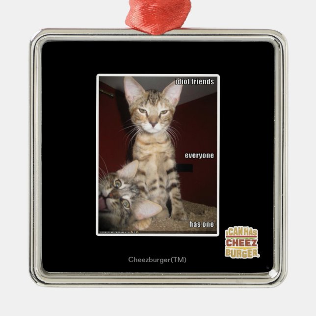 Ornement Carré Argenté Amis d'idiot (Devant)