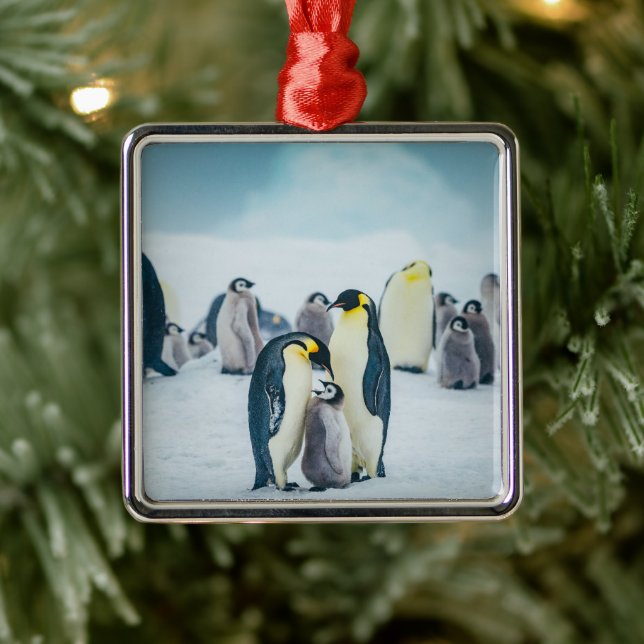 Ornement Carré Argenté Animaux de bébés cutest | Alimentation de pingouin (Arbre)