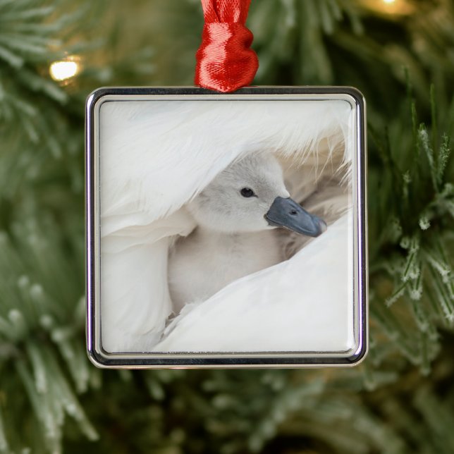 Ornement Carré Argenté Animaux de bébés cutest | Bébé Mute Swan (Arbre)