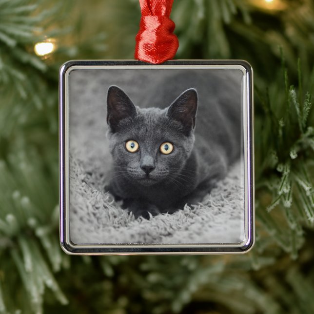 Ornement Carré Argenté Animaux de bébés cutest | Chat gris (Arbre)