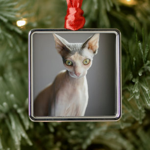 Ornement Carré Argenté Animaux de bébés cutest Chat Sphinx