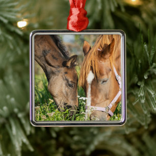 Ornement Carré Argenté Animaux de bébés cutest   Colt à cheval