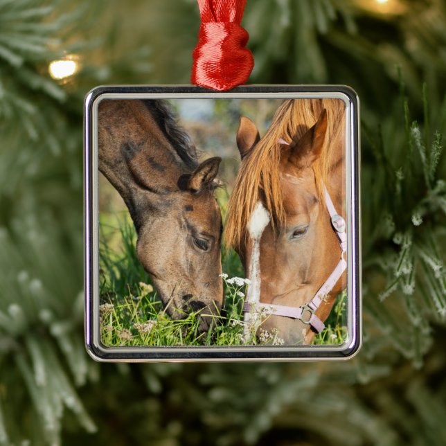Ornement Carré Argenté Animaux de bébés cutest | Colt à cheval (Arbre)