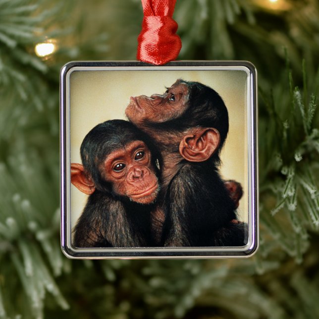 Ornement Carré Argenté Animaux de bébés cutest | Hug de chimpanzé (Arbre)