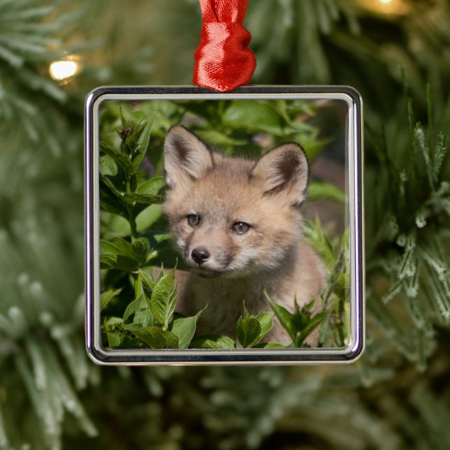 Ornement Carré Argenté Animaux de bébés cutest | Kit Fox (Arbre)