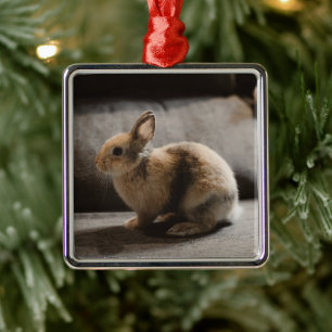 Ornement Carré Argenté Animaux de bébés cutest   Lapin nain de Pays-Bas