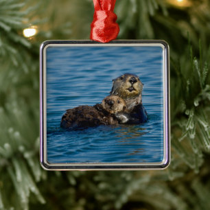 Ornement Carré Argenté Animaux de bébés cutest   Mère & Bébé Sea Otter