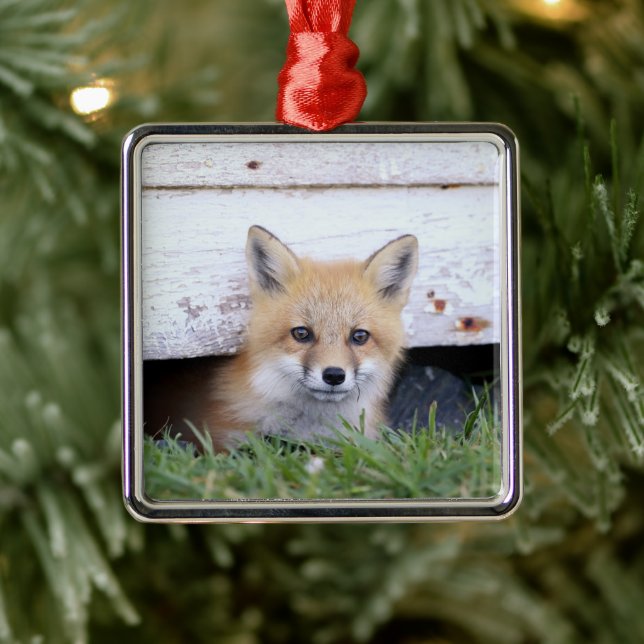 Ornement Carré Argenté Animaux de bébés cutest | Red Fox Kit Peeking (Arbre)