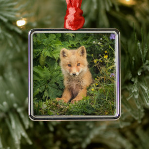 Ornement Carré Argenté Animaux de bébés cutest   Renard rouge à Umnak Ala