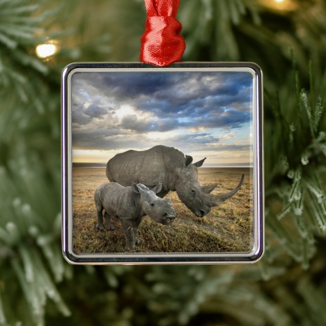 Ornement Carré Argenté Animaux de bébés cutest | White Rhino & Calf (Arbre)