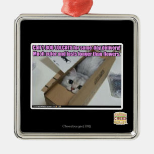 Ornement Carré Argenté Appel 1-800-LOLCATS