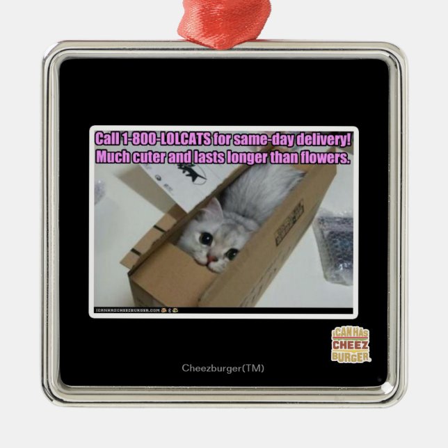 Ornement Carré Argenté Appel 1-800-LOLCATS (Devant)