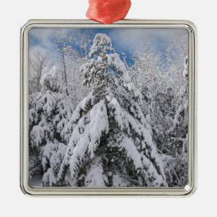 Ornement Carré Argenté Arbres neigeux