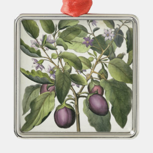 Ornement Carré Argenté Aubergine : Pallido de fructu de Melanzana, du