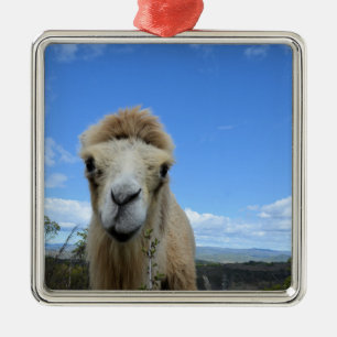 Ornement Carré Argenté Baraka, le chameau souriant