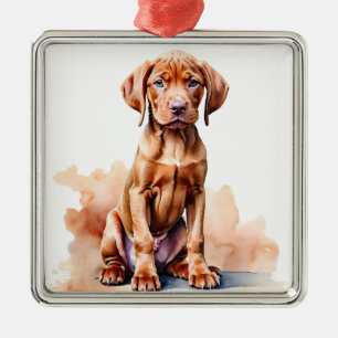 ORNEMENT CARRÉ ARGENTÉ BEAU GRAND CHIEN DE VIZSLA ROUGE