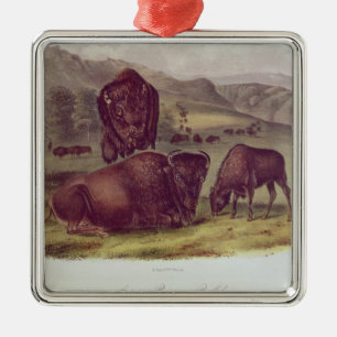 Ornement Carré Argenté Bison américain ou Buffalo