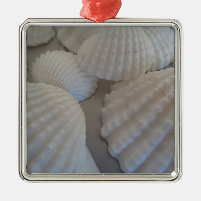Ornement Carré Argenté Blanc gris, Coquillages, Sea Shell Summer Beach Lo (Devant)