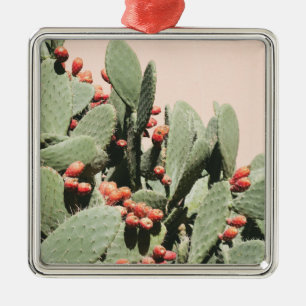 Ornement Carré Argenté Cactus de poire de Prickley