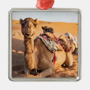 Ornement Carré Argenté Camel dans le désert d'Oman