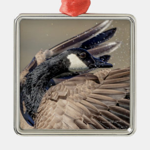 Ornement Carré Argenté Canada Goose