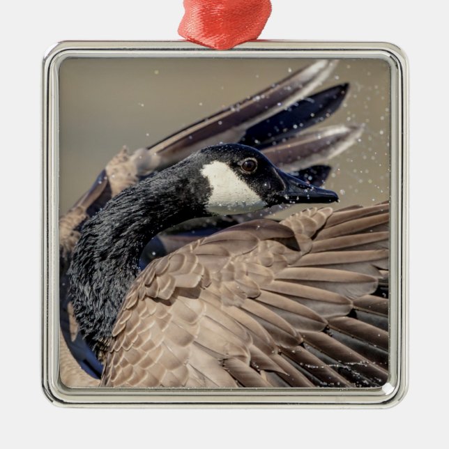 Ornement Carré Argenté Canada Goose (Devant)