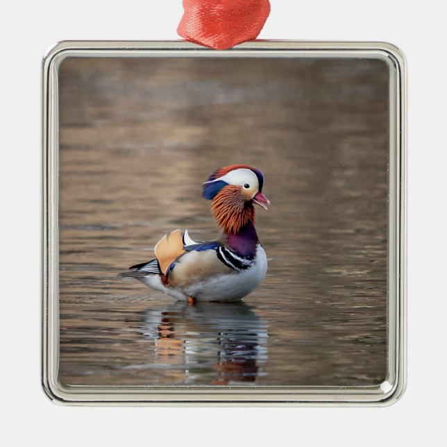 Ornement Carré Argenté Canard mandarin (Devant)