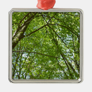 Ornement Carré Argenté Canopée du printemps Feuille Green Nature Scene