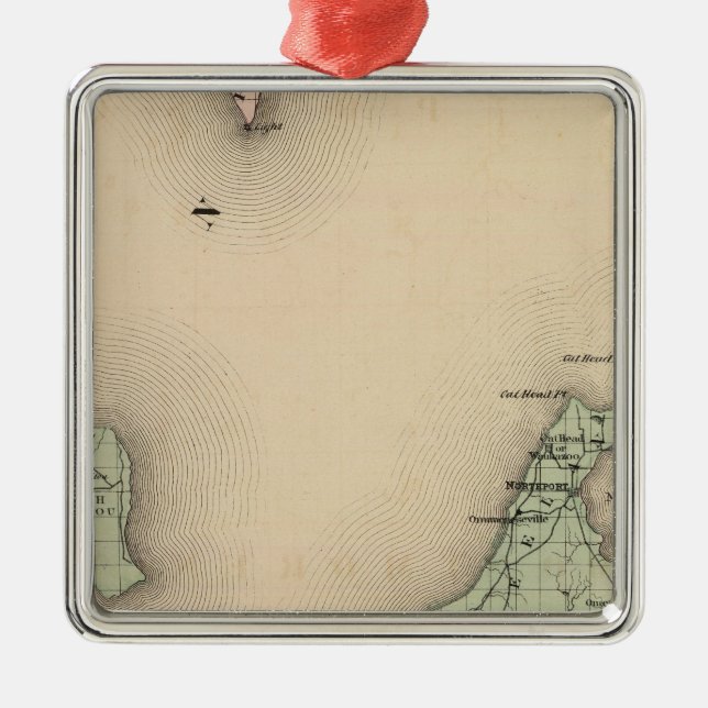 Ornement Carré Argenté Carte du comté de Leelanau, Michigan (Devant)