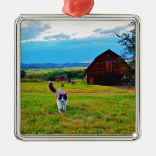 Ornement Carré Argenté Chat avec Barnes