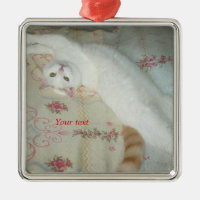 Chat blanc mignon étiré