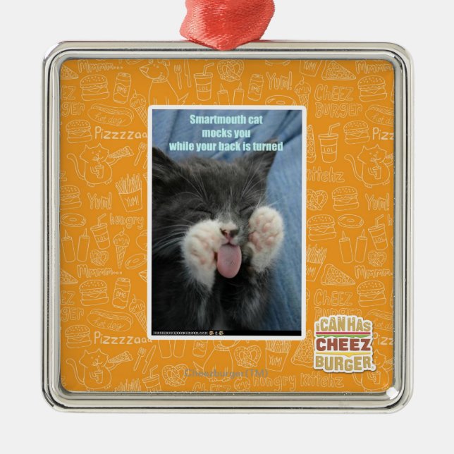 Ornement Carré Argenté Chat de Smartmouth (Devant)