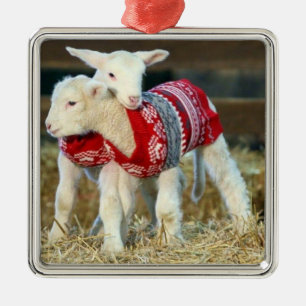 ORNEMENT CARRÉ ARGENTÉ *CHÈQUES DE NOËL ADORABLES DANS LES SWEATERS*