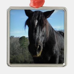 Ornement Carré Argenté Cheval à bascule noir secouru