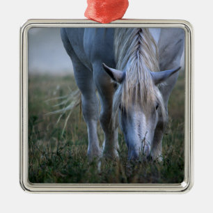 Ornement Carré Argenté Cheval blanc