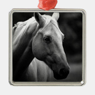 Ornement Carré Argenté Cheval blanc noir