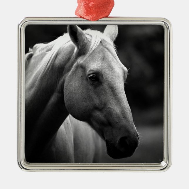 Ornement Carré Argenté Cheval blanc noir (Devant)