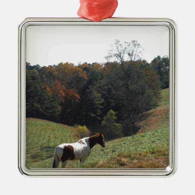 Ornement Carré Argenté Cheval Brown et blanc à l'étang d'automne (Devant)