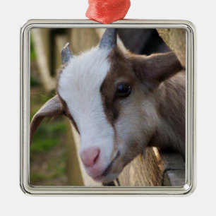 ORNEMENT CARRÉ ARGENTÉ *CHÈVRE ADORABLE POUR NOËL*