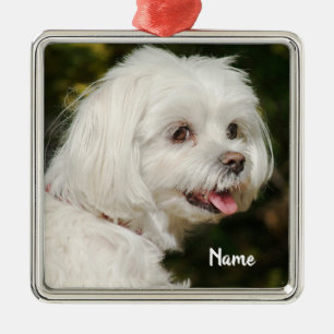 Ornement Carré Argenté Chien chiot maltais blanc personnalisé