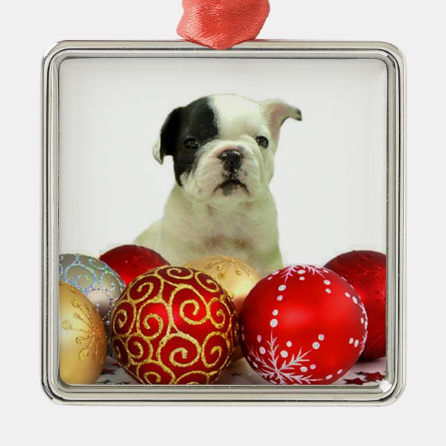 Ornement Carré Argenté Chien de Noël (Devant)