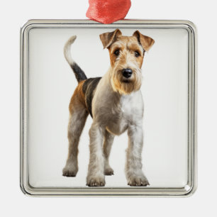 ORNEMENT CARRÉ ARGENTÉ CHIEN DE TERRIER DE FOX HAITE PAR FIL ADORABLE