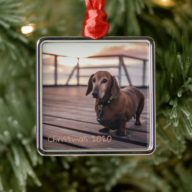 Ornement Carré Argenté Chien de vacances personnalisable Dachshund (Arbre)