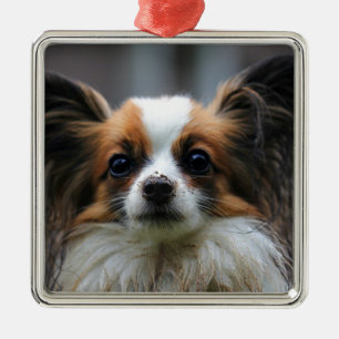 Ornement Carré Argenté Chien mignon de papillon