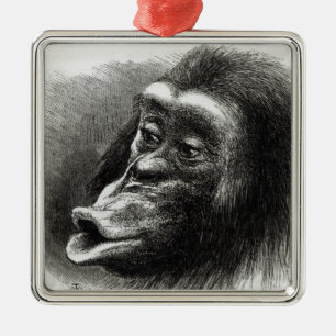 Ornement Carré Argenté Chimpanzé déçu et boudeur
