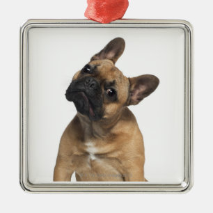Ornement Carré Argenté Chiot de bouledogue français (7 mois)