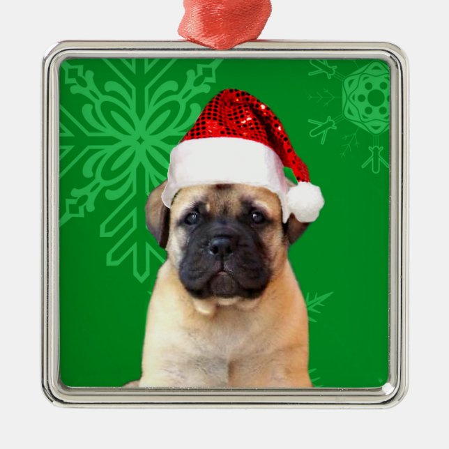 Ornement Carré Argenté Chiot de bullmastiff de Noël (Devant)