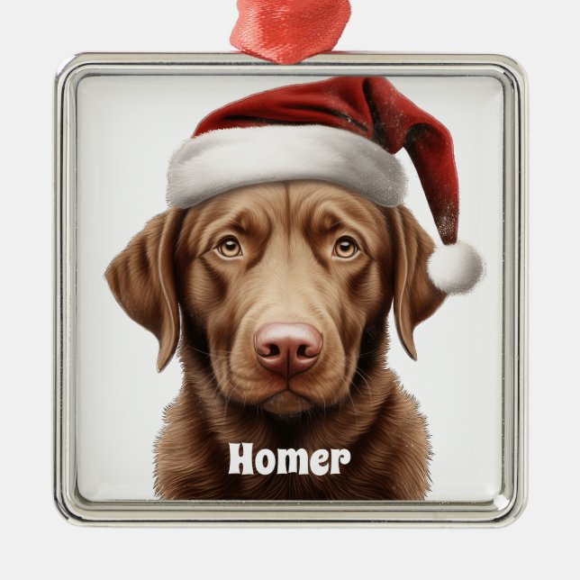 ORNEMENT CARRÉ ARGENTÉ CHRISTMAS CHESAPEAKE BAY RETRIEVER CHIEN (Devant)